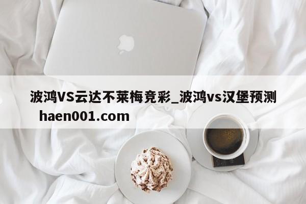 波鸿VS云达不莱梅竞彩_波鸿vs汉堡预测 haen001.com