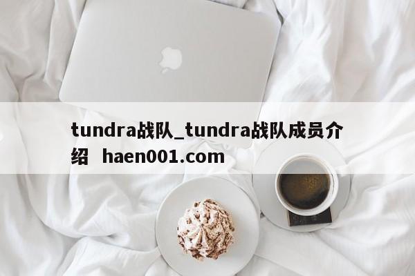 tundra战队_tundra战队成员介绍 haen001.com