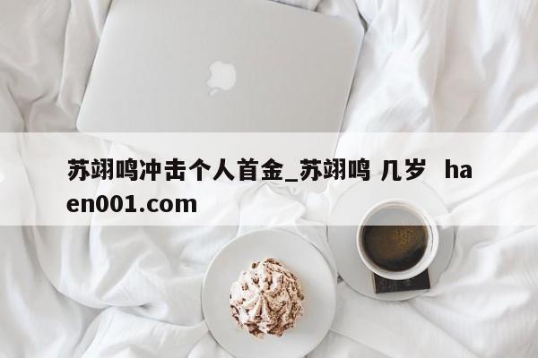 苏翊鸣冲击个人首金_苏翊鸣 几岁  haen001.com